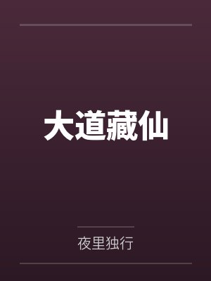 大道藏仙 大道藏仙