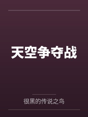天空争夺战 天空争夺战