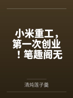 小米重工，第一次创业！笔趣阁无弹窗