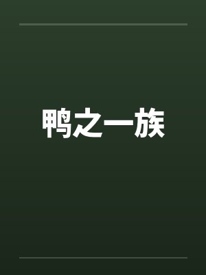 鸭之一族王纬